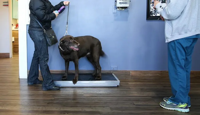 Mokena Animal Clinic 4