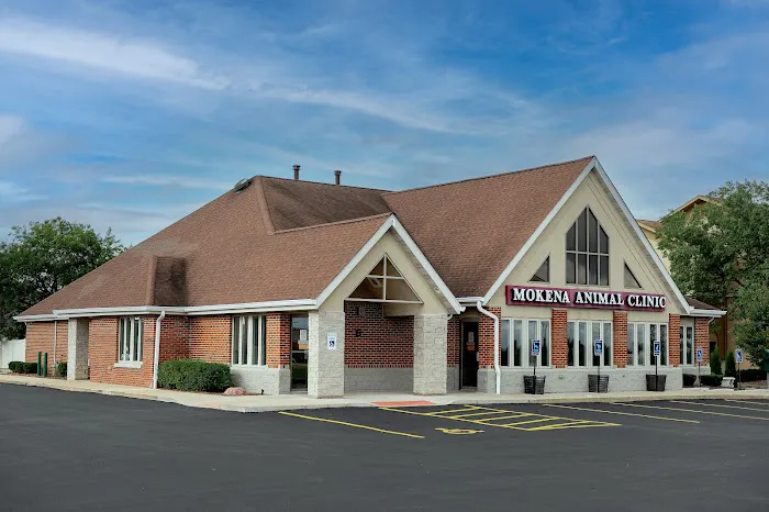 Mokena Animal Clinic 2
