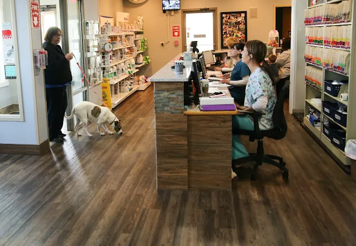 Mokena Animal Clinic 6