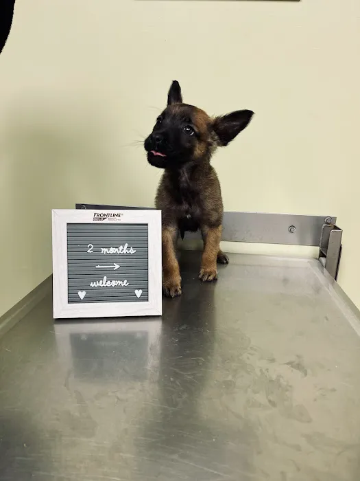 Morthland Animal Clinic 12