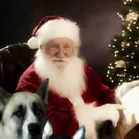 Porter County Pet Clinic ico