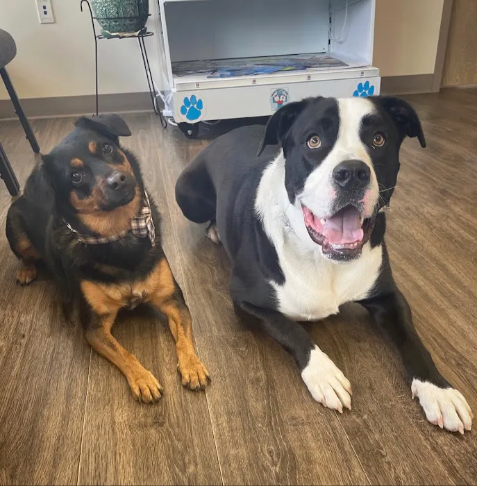 Porter County Pet Clinic 9