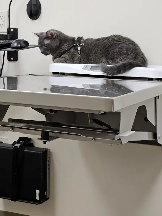Porter County Pet Clinic 6