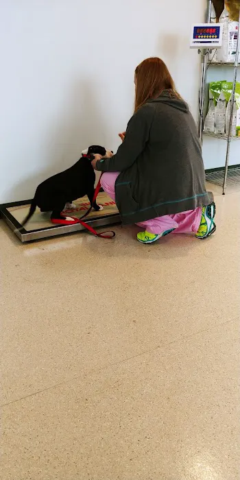Ark of the Dunes Animal Hospital 4
