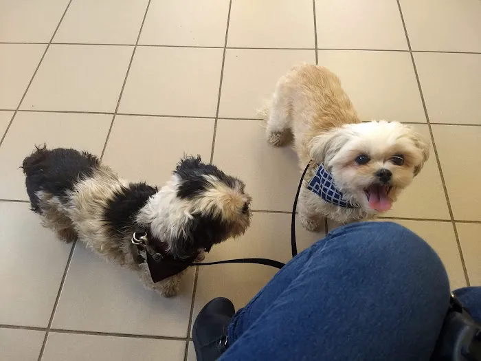 Westchester Animal Clinic 3