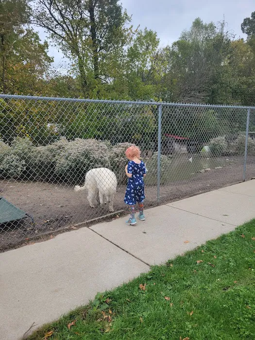 Westchester Animal Clinic 5