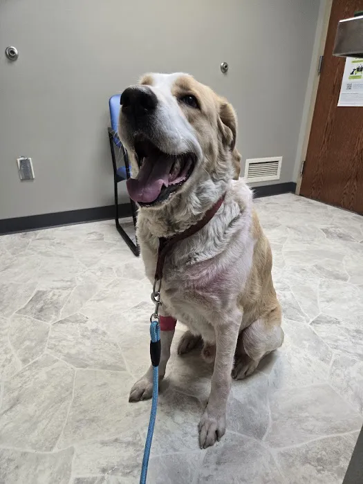 Westchester Animal Clinic 2