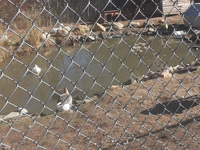 Westchester Animal Clinic 8