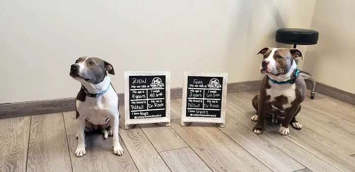 Vale Park Animal Hospital 3