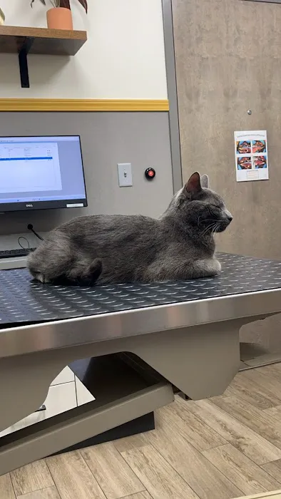 Lowell Animal Hospital 5