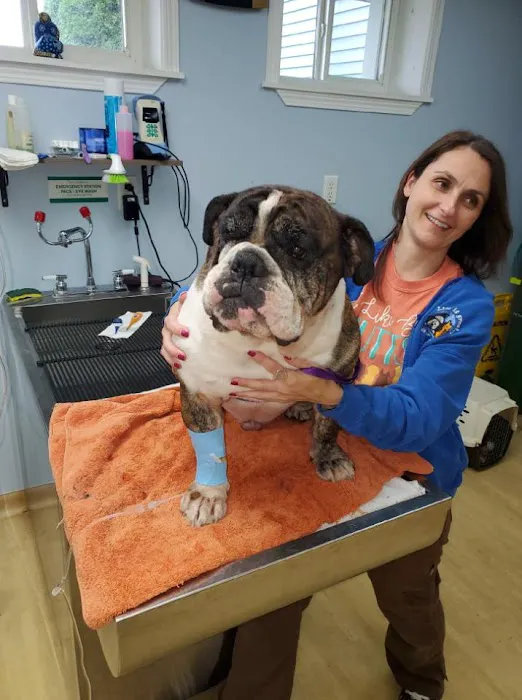 Bardens Animal Clinic 8