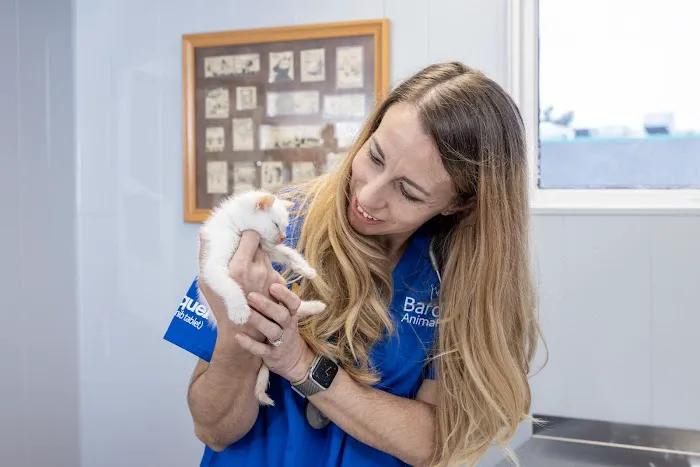 Bardens Animal Clinic 2