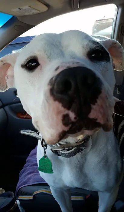 Bardens Animal Clinic 7