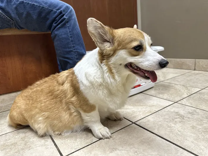 Midwest Animal Hospital 3