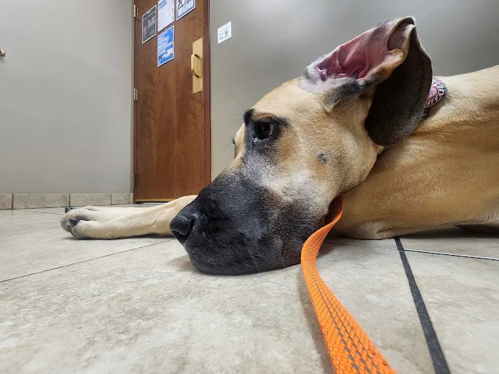 Midwest Animal Hospital 4