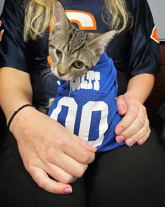Midwest Animal Hospital 7