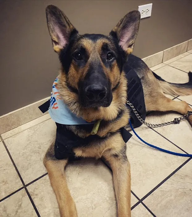 Midwest Animal Hospital 6