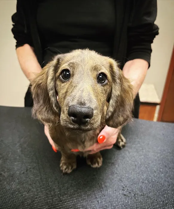 Midwest Animal Hospital 5