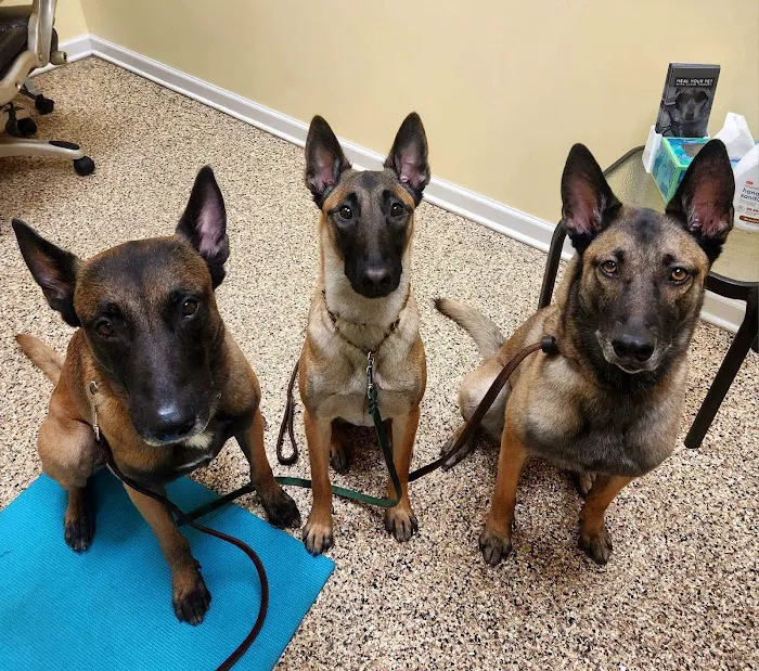 Balanced Body Vet Clinic 12