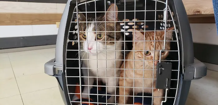Hickory Creek Animal Hospital 4