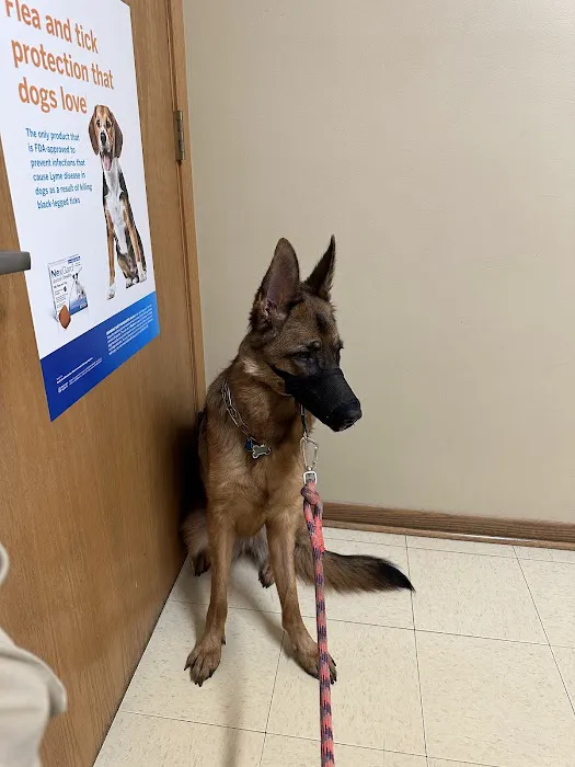 Hickory Creek Animal Hospital 7