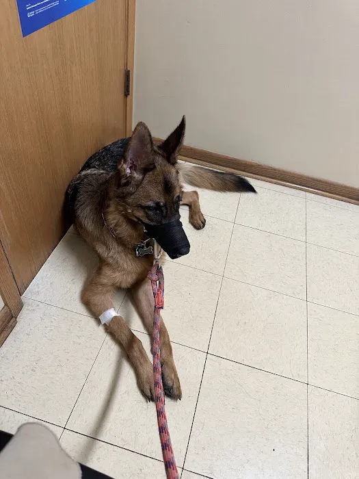 Hickory Creek Animal Hospital 8
