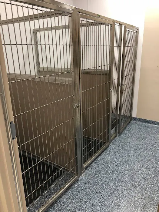 Grace Veterinary Center 4