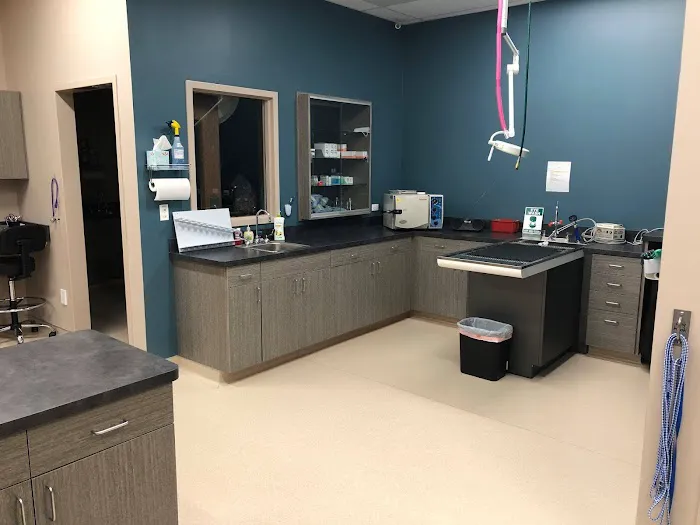 Grace Veterinary Center 3