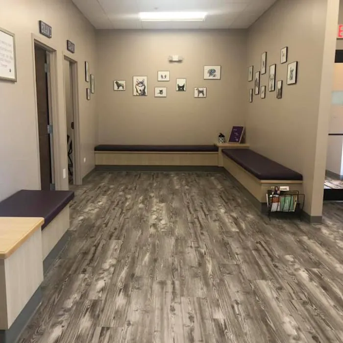 Grace Veterinary Center (formerly Nighthawk Veterinary Clinic) - Michael Wilson, DVM 12