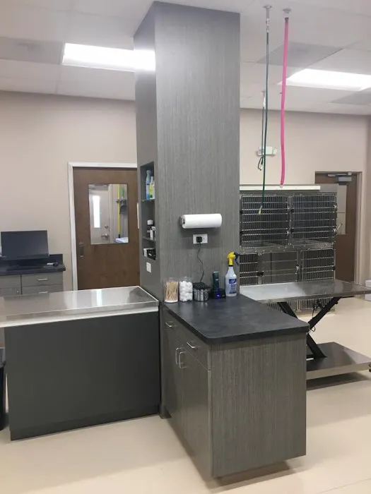 Grace Veterinary Center (formerly Nighthawk Veterinary Clinic) - Michael Wilson, DVM 12