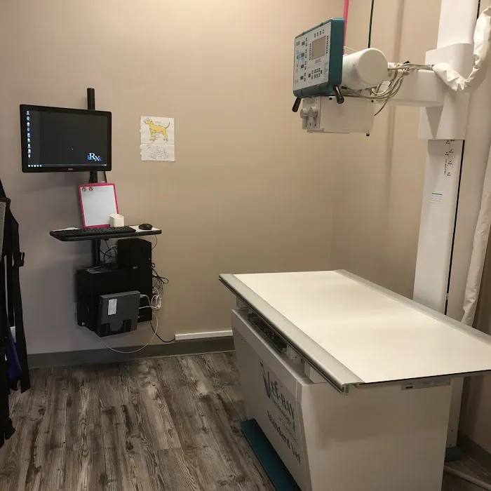 Grace Veterinary Center (formerly Nighthawk Veterinary Clinic) - Michael Wilson, DVM 12