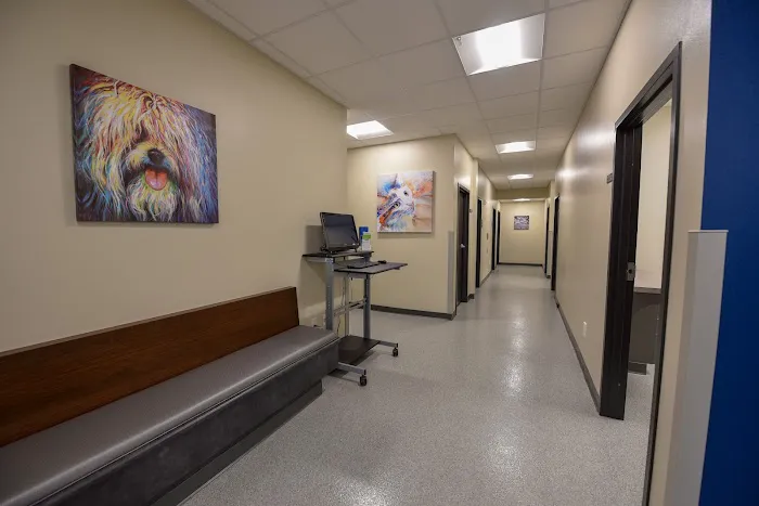 Madison Veterinary Specialists & Emergency Care 12