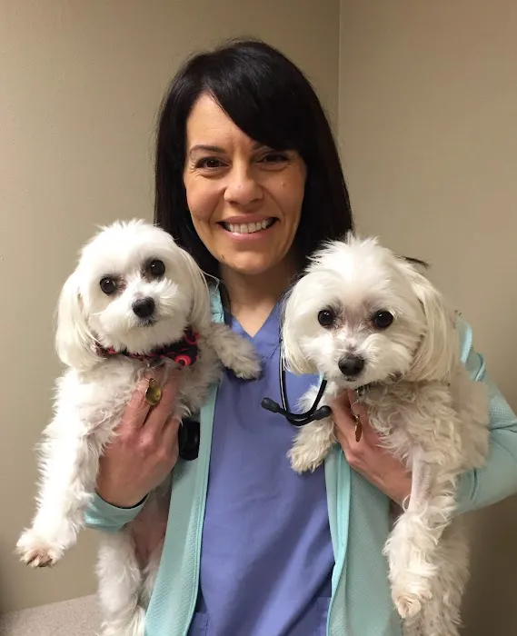 Madison Veterinary Specialists & Emergency Care 12