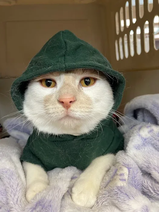 Wisconsin Community Veterinary Center 8