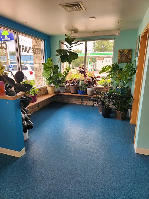 Community Care Veterinary Clinic 3