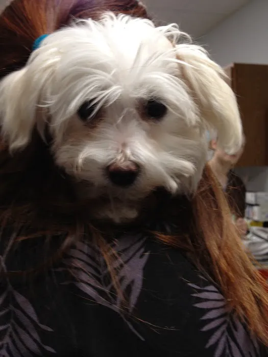 Community Care Veterinary Clinic 10