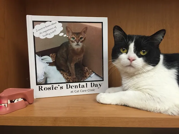 Cat Care Clinic - East 6