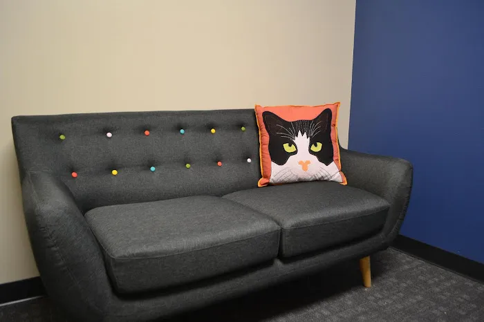 Cat Care Clinic - East 3