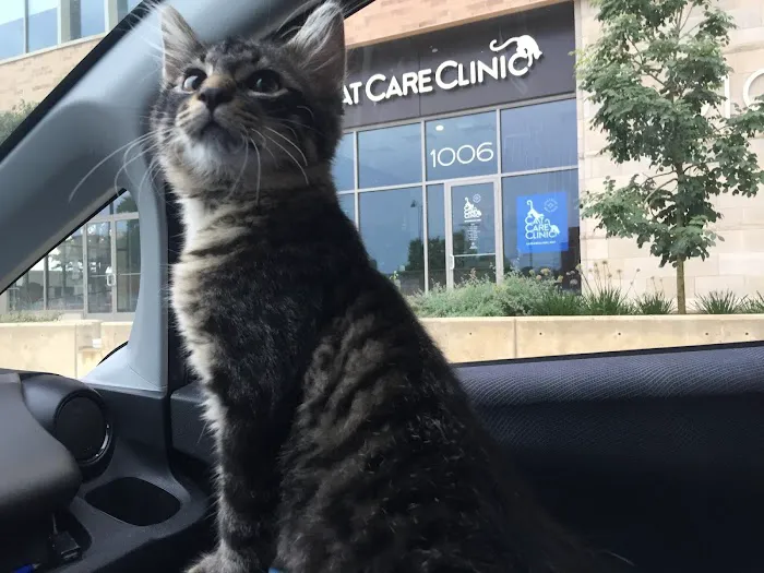 Cat Care Clinic - East 5