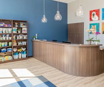 Cat Care Clinic - East