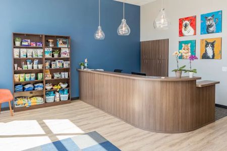 Cat Care Clinic - East
