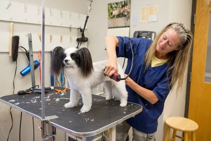 Truesdell Animal Care Hospital & Clinic 5