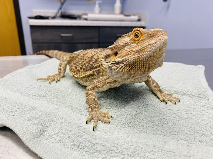 Truesdell Animal Care Hospital & Clinic 8