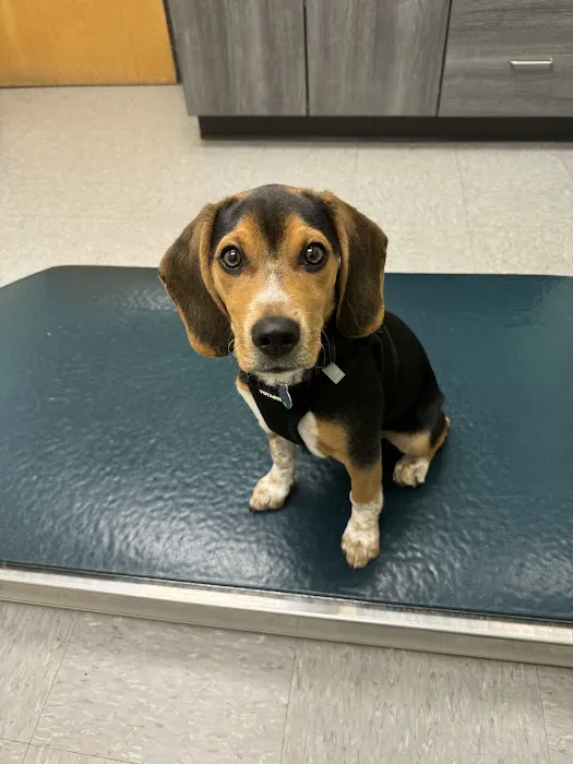 Truesdell Animal Care Hospital & Clinic 2