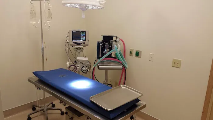 Healthy Pet Veterinary Clinic 2
