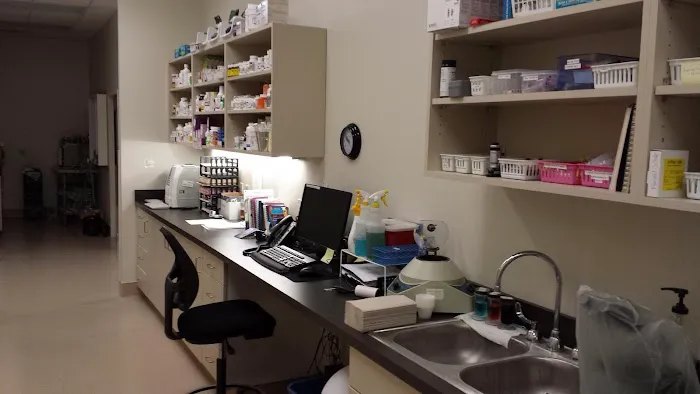 Healthy Pet Veterinary Clinic 4