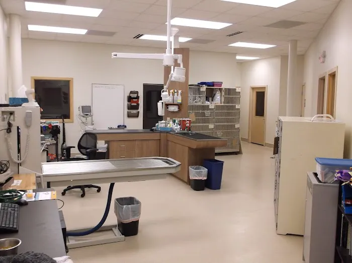 Healthy Pet Veterinary Clinic 6