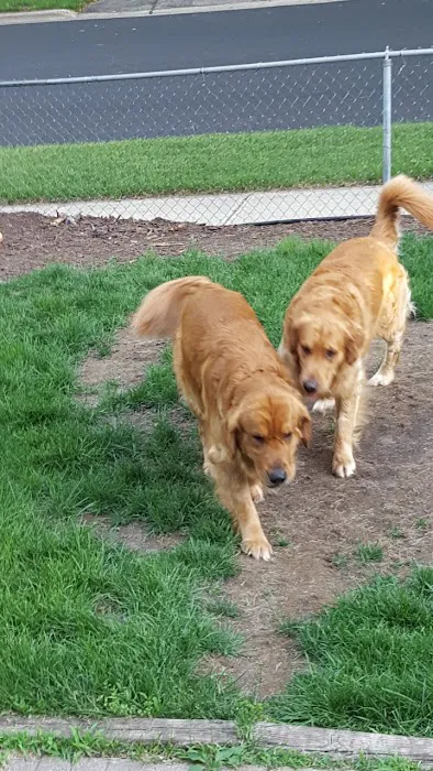 Sandhill Pet Clinic 1
