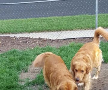 Sandhill Pet Clinic