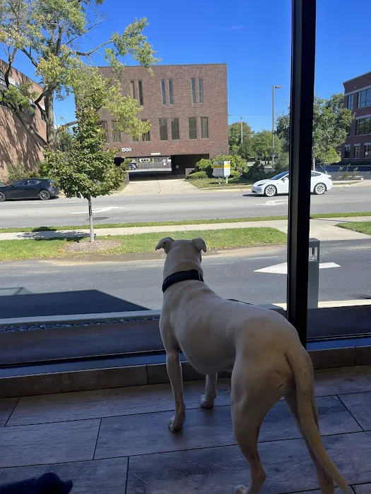 Upper Arlington Veterinary Hospital 5